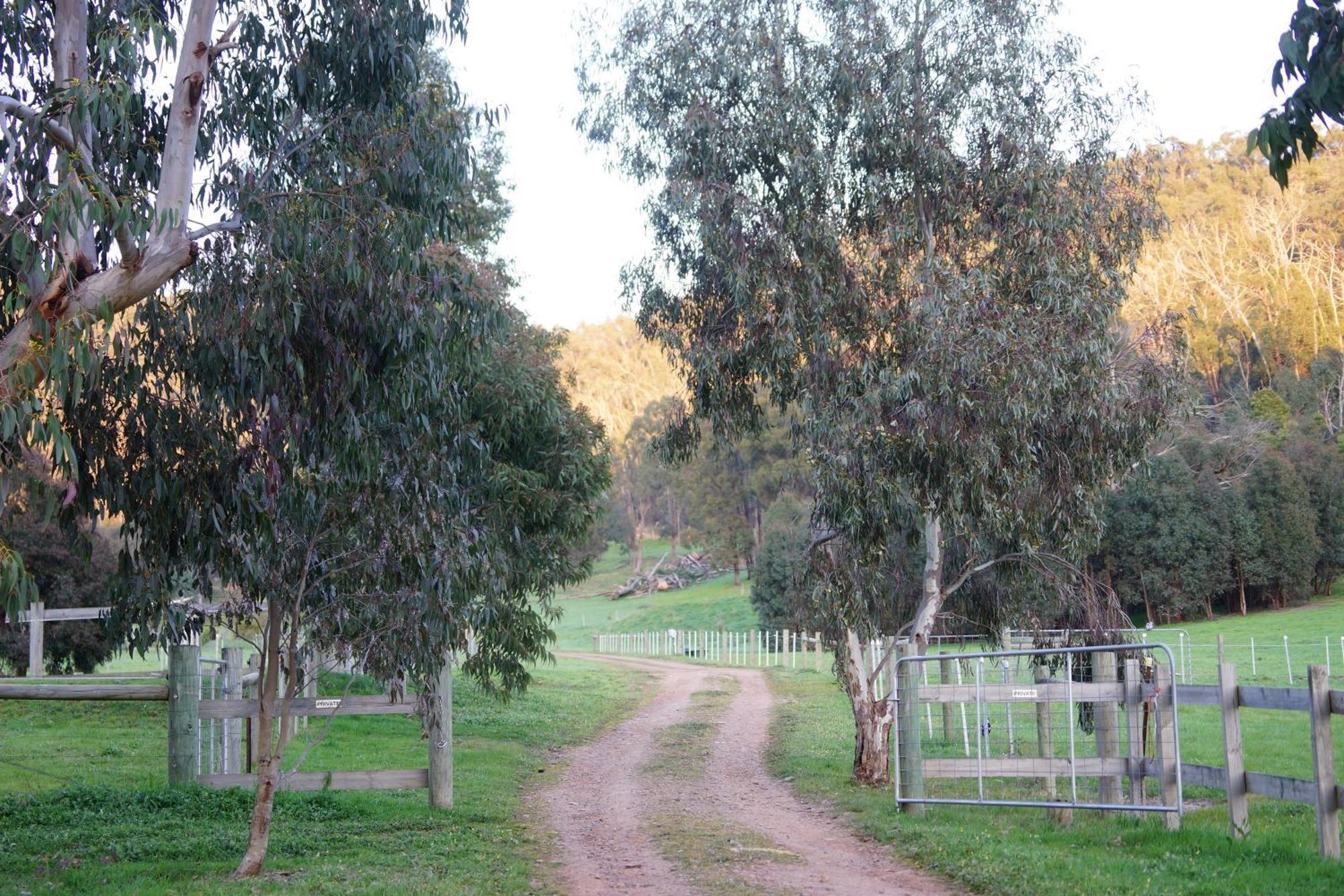 Stringybark, Halls On Falls Homestead Strath Creek Exterior photo