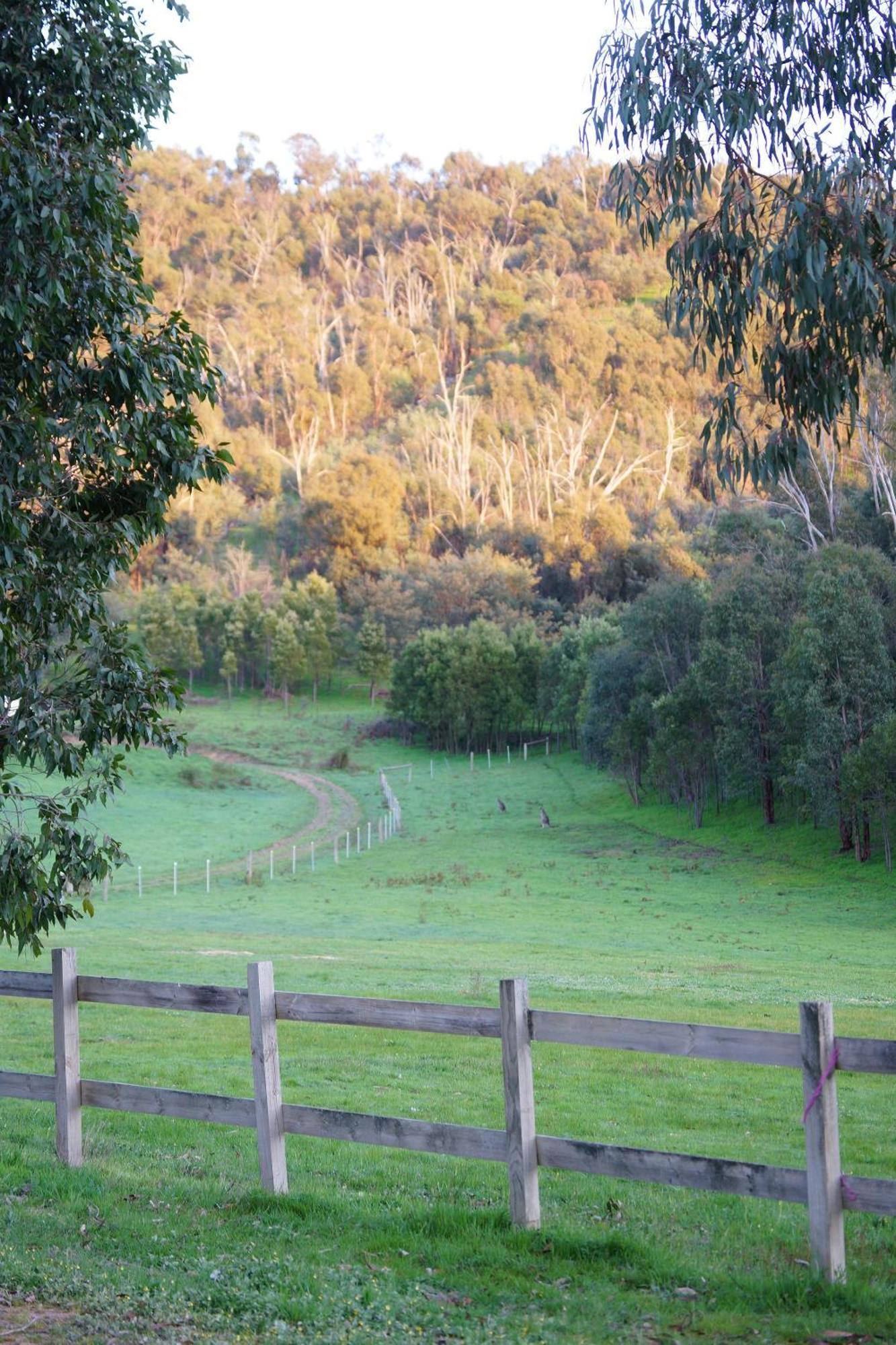 Stringybark, Halls On Falls Homestead Strath Creek Exterior photo