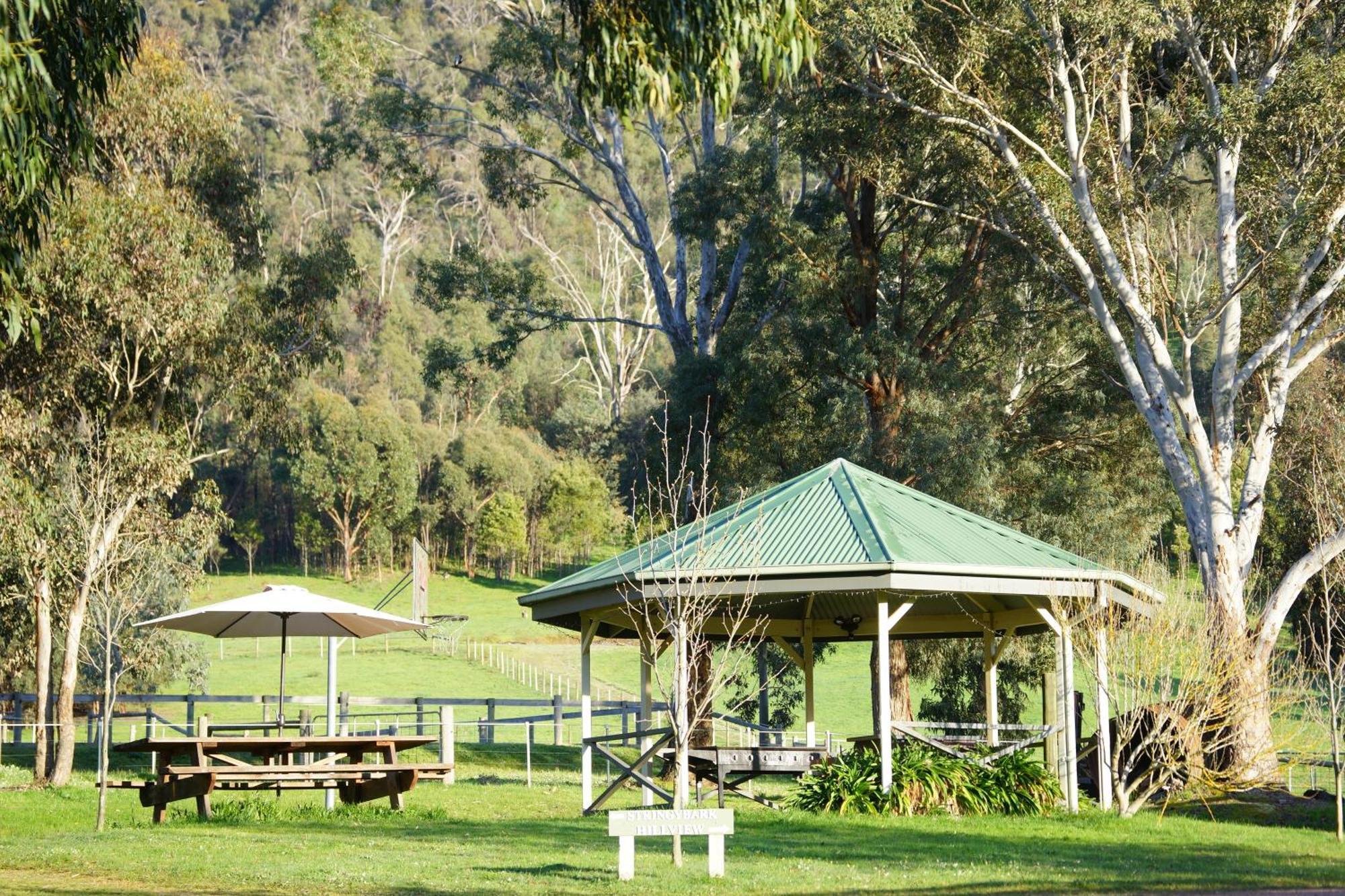 Stringybark, Halls On Falls Homestead Strath Creek Exterior photo